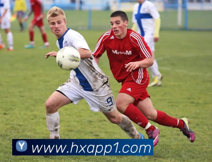 多媒体互动体验